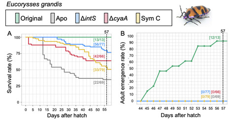 Host range of naturally and artificially evolve...