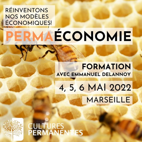 Formation “Permaéconomie” - Emmanuel Delannoy | Insect Archive | Scoop.it