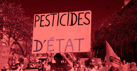 La loi pour lever les contraintes en agriculture va réintroduire un néonicotinoïde « probablement le plus dangereux pour les humains » | Variétés entomologiques | Scoop.it