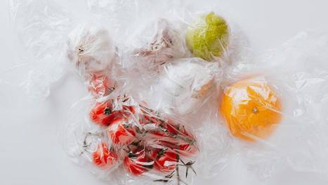 Des chercheurs chinois découvrent une alternative écologique au plastique | Innovation Agro-activités et Bio-industries | Scoop.it