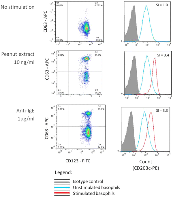 Basophil activation test: food challenge in a test tube or specialist research tool? | Allergy (and clinical immunology) | Scoop.it
