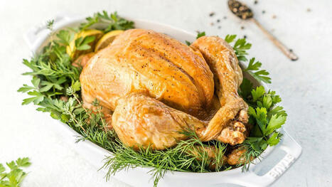 ALIMENTATION : Comment les poulets ont conquis le monde en quelques d&eacute;cennies seulement | ALIMENTATIONS | Scoop.it