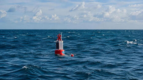 &Icirc;les &Eacute;parses : apr&egrave;s un an sous l&rsquo;oc&eacute;an Indien, six hydrophones r&eacute;cup&eacute;r&eacute;s avec succ&egrave;s pour mieux comprendre les c&eacute;tac&eacute;s &ndash; Free Dom | Revue de presse C&eacute;tac&eacute;s | Scoop.it