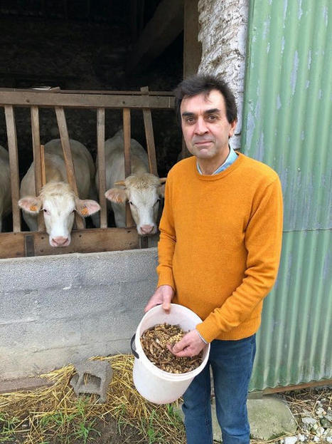 290&nbsp;000&nbsp;euros pour&nbsp;aider &agrave; la r&eacute;g&eacute;n&eacute;ration des prairies dans les Hauts-de-France | Actu environnement en HdF | Scoop.it