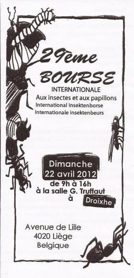 Bourse aux insectes de Droixhe 22 avril 2012 - Liège (Belgique) | Variétés entomologiques | Scoop.it