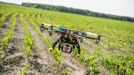 Six Ways Drones Are Revolutionizing Agriculture | Plant Biology Teaching Resources (Higher Education) | Scoop.it