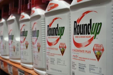 Monsanto a fiché des personnalités françaises selon leurs positions sur le glyphosate | GREENEYES | Scoop.it