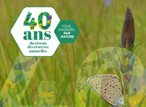 Le r&eacute;seau des r&eacute;serves naturelles de France f&ecirc;te ses 40 ans ! - F&eacute;d&eacute;ration Fran&ccedil;aise de la Randonn&eacute;e P&eacute;destre | Parcs nationaux, r&eacute;gionaux et autres espaces naturels prot&eacute;g&eacute;s | Scoop.it