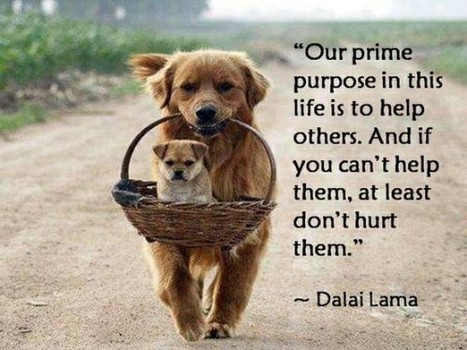 OUR PRIME PURPOSE IN THIS LIFE... | Quote for Thought | Scoop.it