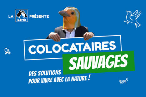 Médiation faune sauvage - LPO  | Biodiversité | Scoop.it