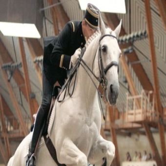 Le guide de l'été. Le Cadre noir de Saumur : “Le prestige des écuyers“ | Salon du Cheval | Scoop.it