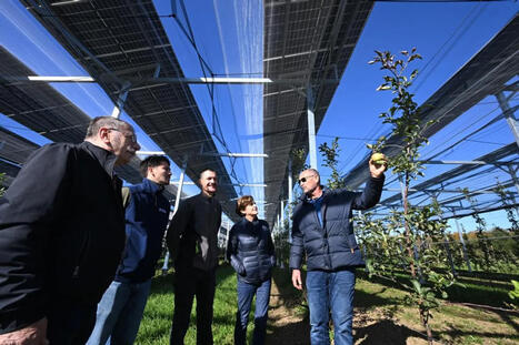 Dans ce verger de Creuse, il pousse des fruits... et de l'électricité | Transition énergétique territoriale | Scoop.it