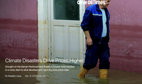 CLIMATE Disasters Drive Prices Higher | CIHEAM Press Review | Scoop.it