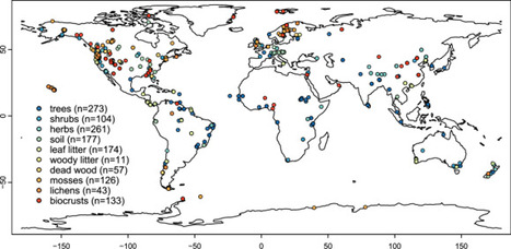 A global dataset of terrestrial biological nitrogen fixation | Plant-Microbe Symbiosis | Scoop.it