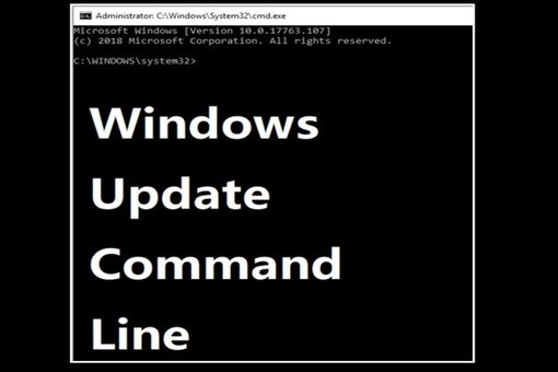 Two Efficient Ways To Do Windows Update From Co