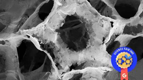 Science Fair: A Non-Toxic Alternative to 'Forever Chemicals' | Industry 411 - Waste Management | Scoop.it