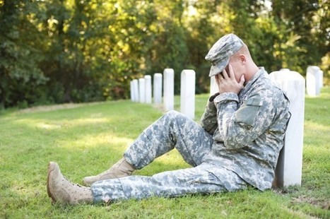 Michigan Medical Marijuana Review Recommends Adding PTSD | Beckley News : Cannabis - Marijuana | Scoop.it