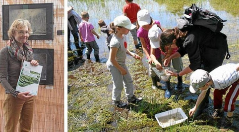 Partez à la découverte de la faune de l'estuaire | Veille territoriale AURH | Scoop.it