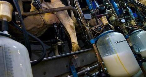 La hausse de rémunération ne profite pas à tous les éleveurs, selon la FNPL | Economie de l'Elevage | Scoop.it