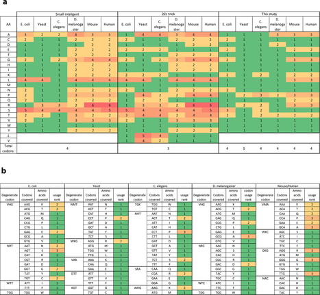 Codon Compression Algorithms for Saturation Mutagenesis - Ryan T Gill | RMH | Scoop.it