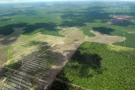 Ouverture du G7 Environnement : enfin de l'action pour protéger la nature ? | veille territoriale | Scoop.it