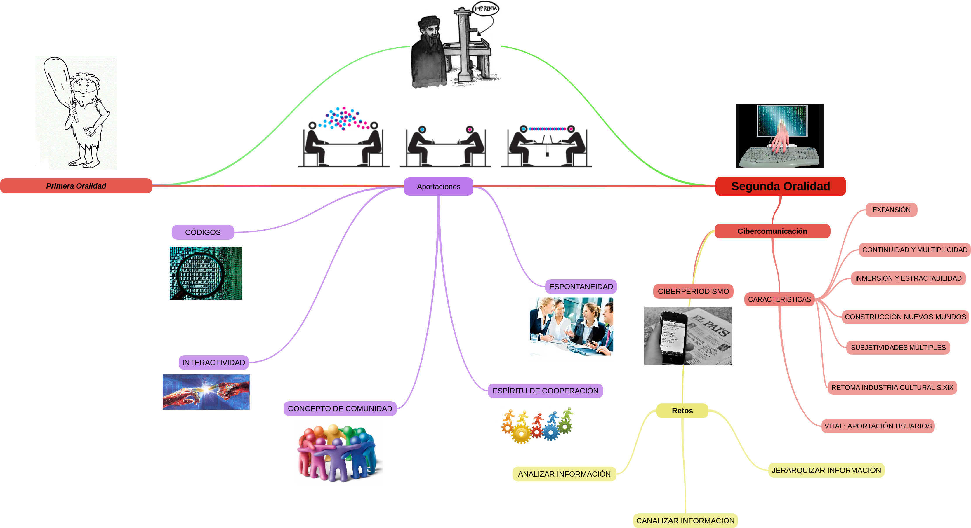 ebook plant roots from cells to systems