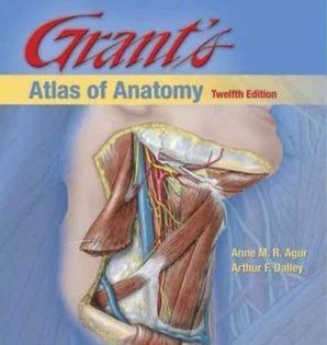 Chaurasia Anatomy Pdf Ebook