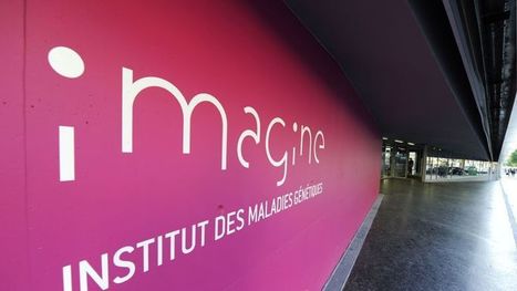 Euthanasie, bioéthique, ADN, GPA : les réponses d'un grand généticien français | Dépendance et fin de vie | Scoop.it