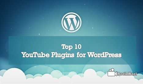 Top 10 YouTube Plugins for WordPress | ReelnReel | Into the Driver's Seat | Scoop.it