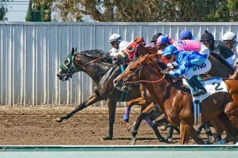 2 horses die from training injuries at Los Alamitos &ndash; | Racing Regulatory Issues | Scoop.it