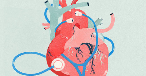 Trim and Fit? You May Still Have Heart Disease | Hospitals and Healthcare | Scoop.it
