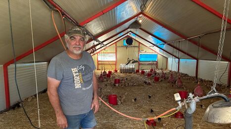 "C&rsquo;est compliqu&eacute;, mais on essaie de s&rsquo;en sortir" : le quotidien d&rsquo;un &eacute;leveur de poulets &agrave; Ferri&egrave;re-Lar&ccedil;on face &agrave; la canicule | Revue de presse &eacute;conomique du Sud Touraine | Scoop.it