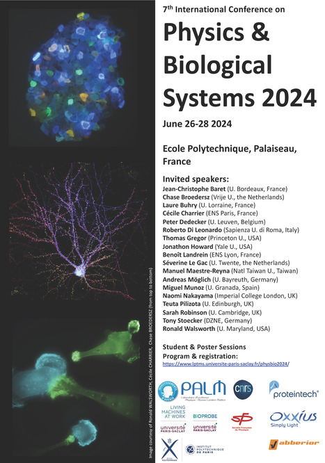 PhysBio 2024 - 7th Internatinoal Conference on Physics and Biological Systems | Life Sciences Université Paris-Saclay | Scoop.it