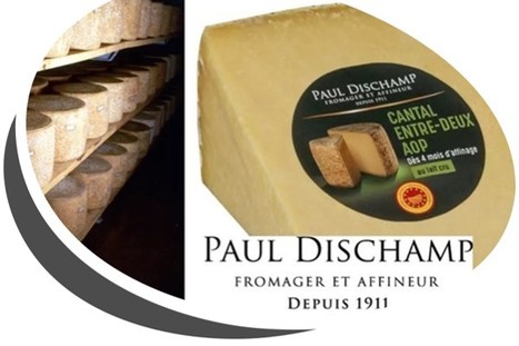 Paul Dischamp s’affirme dans le Cantal | Lait de Normandie... et d'ailleurs | Scoop.it