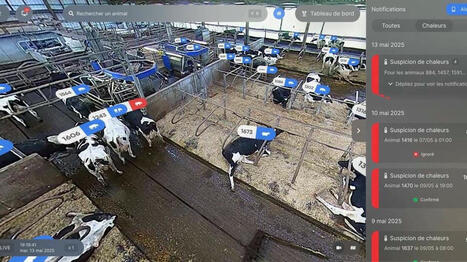 L’intelligence artificielle fait son nid dans la filière lait - Ouest France [Abonnés] | Agriculture en Pays de la Loire | Scoop.it