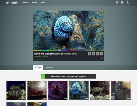 MixBit, The New App From YouTube's Founders, Aims To Turn Everyone Into A Filmmaker | Top Social Media Tools | Scoop.it