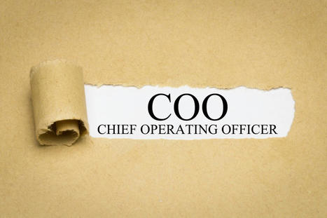 The Many Types of Chief Operating Officers | Strategy and Analysis | Scoop.it