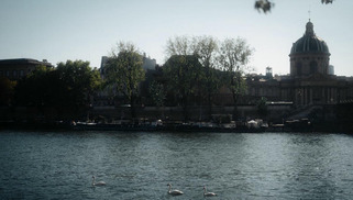 Au fond de la Seine, le chant des poissons renseigne sur la qualité de l'eau | Veille territoriale AURH | Scoop.it