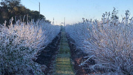 USDA Declares Natural Disaster Areas in Wake of Wicked Winter Blasts | Coastal Restoration | Scoop.it
