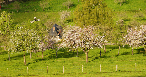 Biodiversité : un premier agriculteur signe une obligation réelle environnementale | GREENEYES | Scoop.it