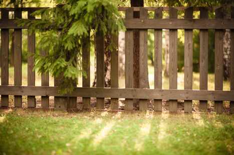 Can You Trim A Neighbor's Tree Hanging Into Your Yard? | Industry 411 - Waste Management | Scoop.it