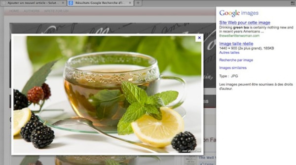 La mise à jour de Google Images engendre une baisse de trafic #SEO ! | Search engine optimization : SEO | Scoop.it