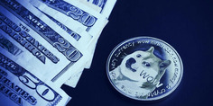Elon Musk 'Moon' Tweet Sends Dogecoin Flying High Again | Cryptocurrencies and NFT Report | Scoop.it