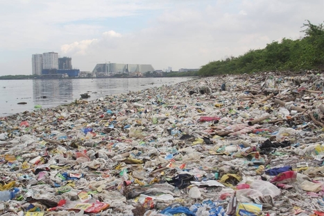 DENR Bicol wants use of plastic minimized | Industry 411 - Waste Management | Scoop.it