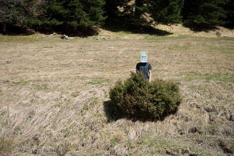  "Dans la forêt, à la lisière" dimanche 13 octobre à Jézeau | Vallées d'Aure & Louron - Pyrénées | Scoop.it