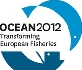 How Overfishing Impacts You: Fishy Traditions We Have Lost | OUR OCEANS NEED US | Scoop.it