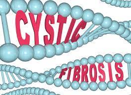 Ferret and Pig Models of Cystic Fibrosis: Prospects and Promise for Gene Therapy | Animal Models - GEG Tech top picks | Scoop.it