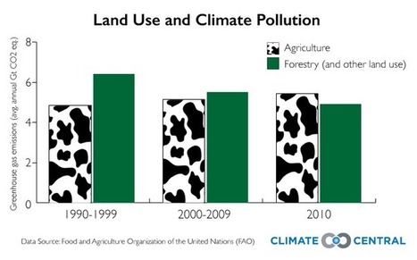 Farming Now Worse For Climate Than Deforestation | Climate Central | Sustainability Science | Scoop.it