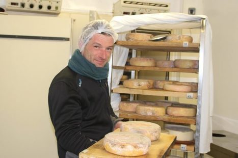 Du fromage de vache fermier bio à Coulonces, dans le Calvados  | Lait de Normandie... et d'ailleurs | Scoop.it