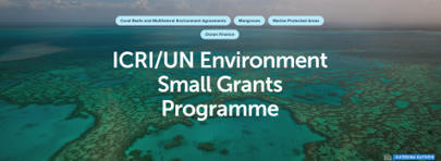 Appel à projets : conservation des récifs coralliens, mangroves et herbiers - TEMEUM | Biodiversité | Scoop.it